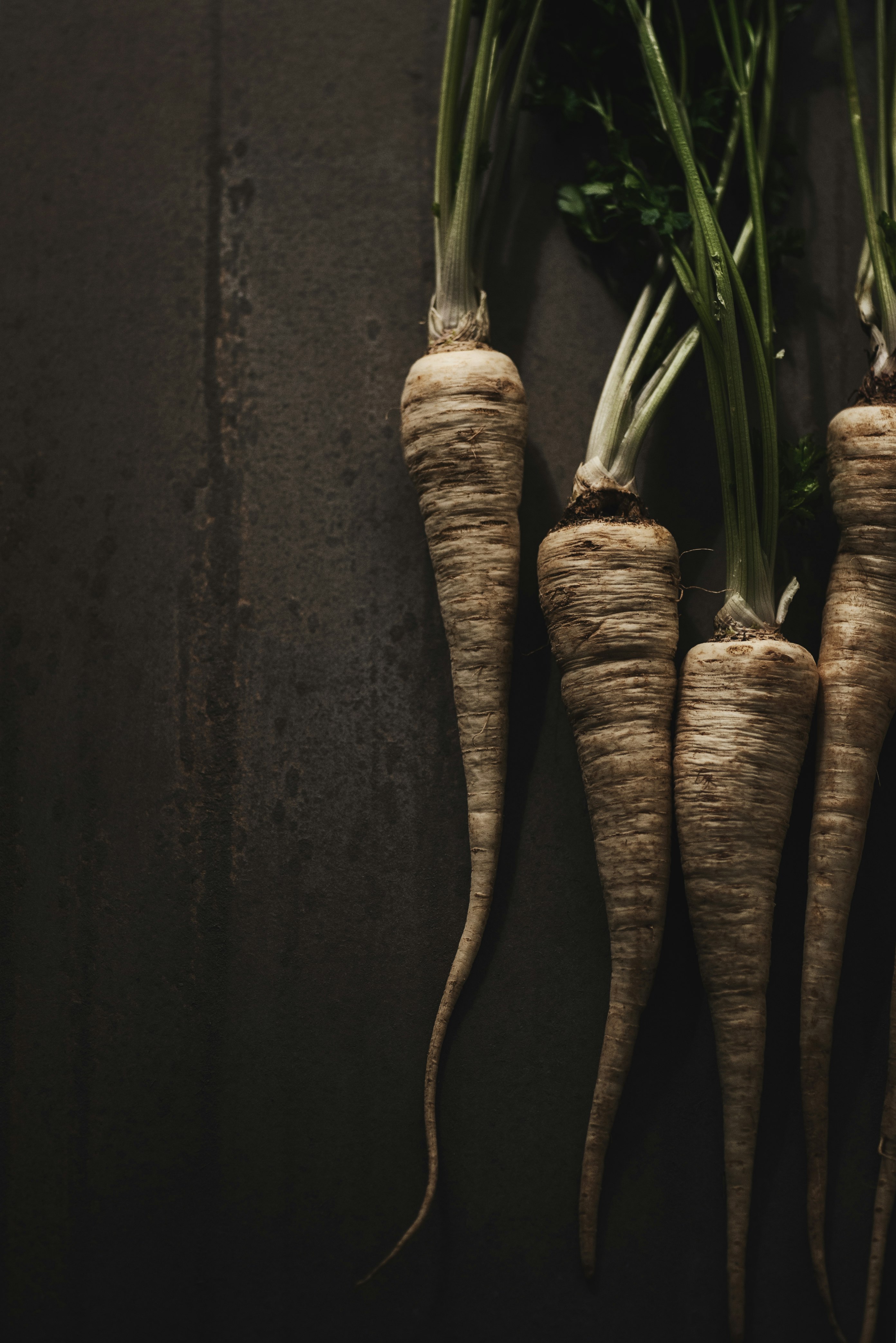 macro photography four brown carrots